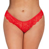 5XL French Daina Signature Lace Thong